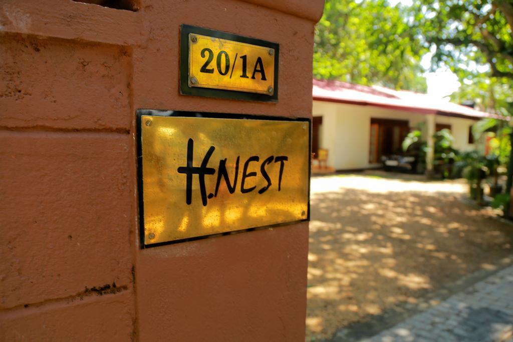 Holiday Nest Bed & Breakfast Ваддува Экстерьер фото